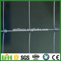 GM 2016 Hot Sale high zinc coating cheap China wire fence for sale
